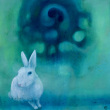 Absolutely-magic-rabbit-80x80-olej-na-plotnie-2025