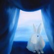 Absolutely magic rabbit,60x80,2012 olej na płótnie